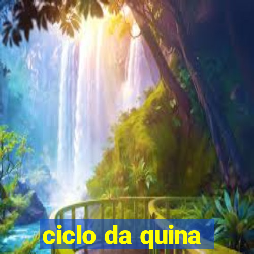 ciclo da quina